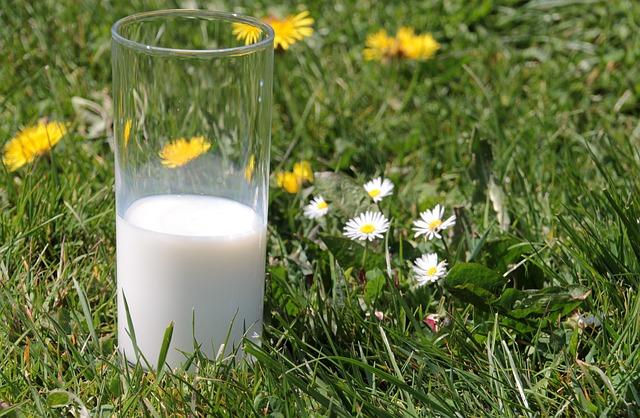 Buying Milk for the kids